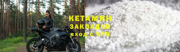 прущие грибы Михайловка