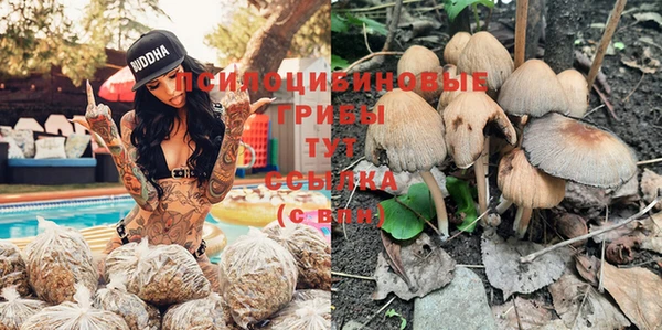 спиды Навашино