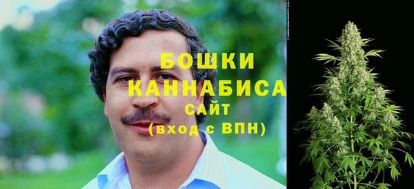 прущие грибы Михайловка