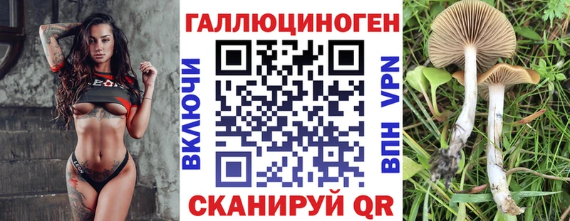 Галлюциногенные грибы Cubensis  shop телеграм  Слюдянка 