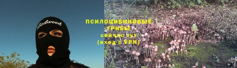 darknet формула  сколько стоит  Слюдянка  Галлюциногенные грибы Psilocybe 